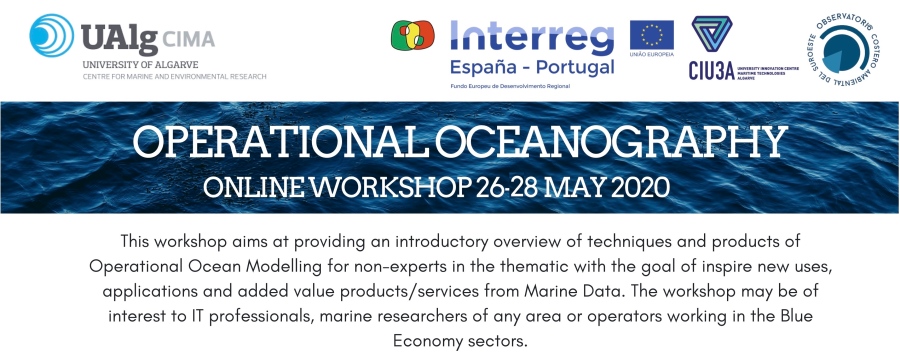 Operational Oceanography Workshop – 26/28 May 2020